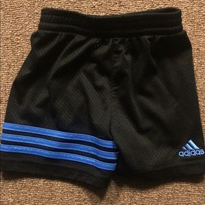 12 month Adidas shorts